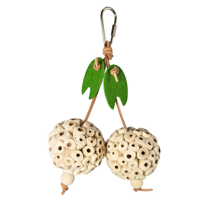 Happy Beaks Picky Pair Hanging Bird Toy, by A&E Cage Co