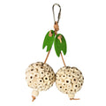Happy Beaks Picky Pair Hanging Bird Toy, by A&E Cage Co