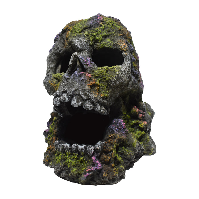 Hikari Mossy Skull Resin Fish Ornament