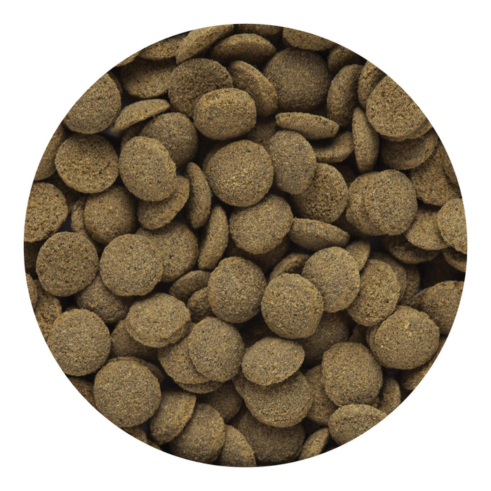 Hikari Sinking Wafers 1.76oz Dry Fish Food