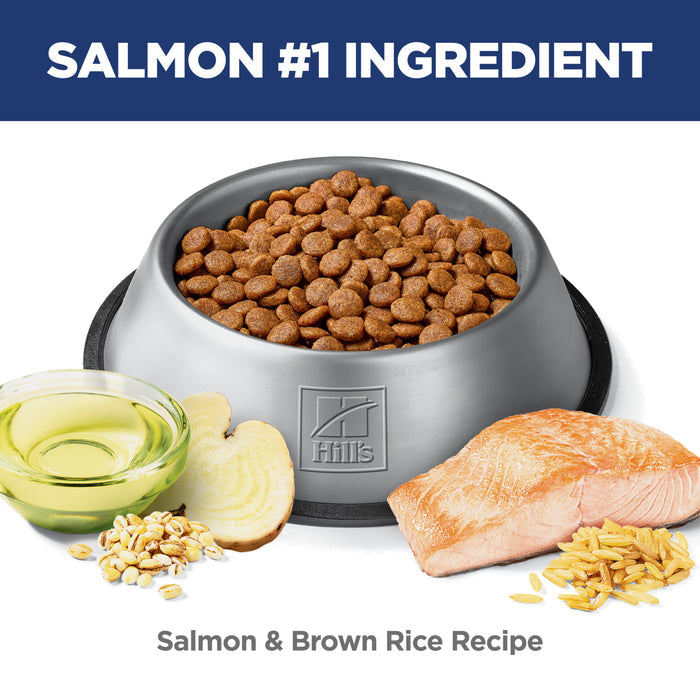 Hill's Science Diet Adult Sensitive Stomach & Skin Salmon & Brown Rice Recipe Dry Dog Food