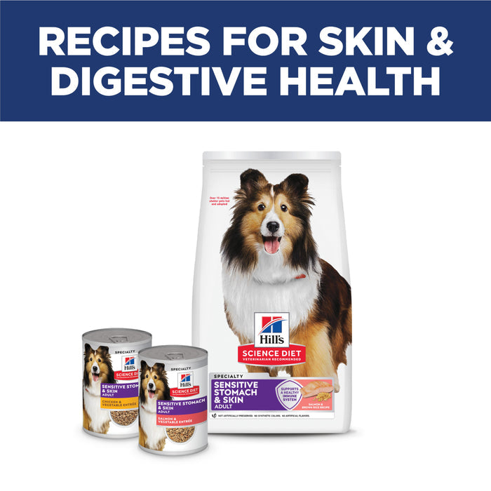 Hill's Science Diet Adult Sensitive Stomach & Skin Salmon & Brown Rice Recipe Dry Dog Food