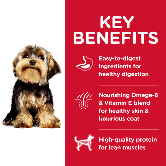Hill's Science Diet Adult Small Paws Lamb Meal & Brown Rice Recipe Dry Dog Food