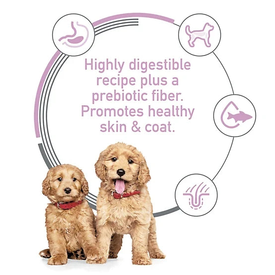Hill's Science Diet Puppy Sensitive Stomach & Skin Salmon & Brown Rice Recipe Dry Dog Food, 13lb