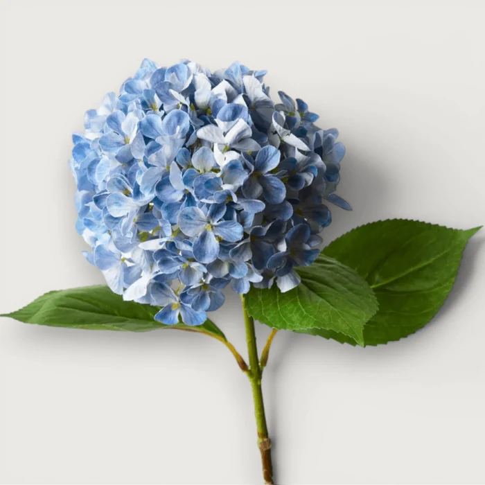 Hydrangea - Blue 68cm