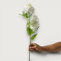 Hydrangea Spray - White 74 cm