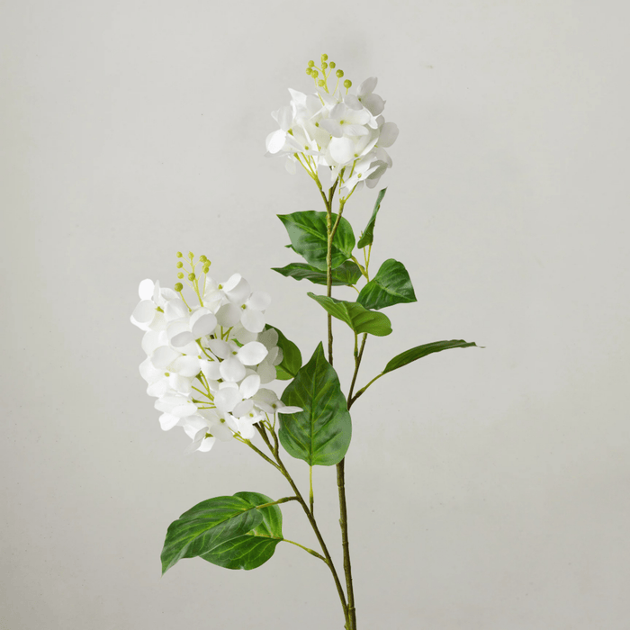 Hydrangea Spray - White 74 cm - Few and Far - Flowers & Foliage