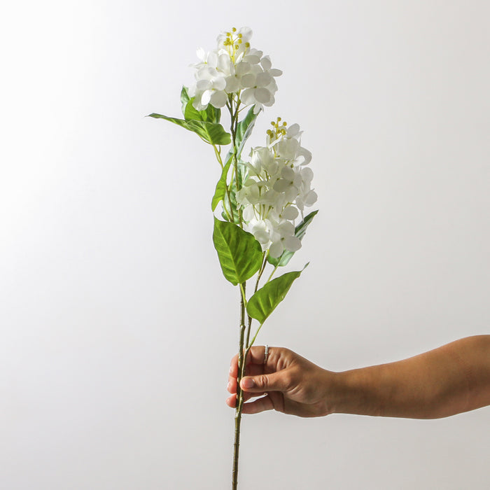 Hydrangea Spray - White 74 cm