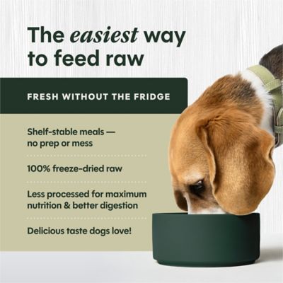 Instinct Freeze Dried Raw Meals Grain Free Cage Free Chicken Recipe Dog Food