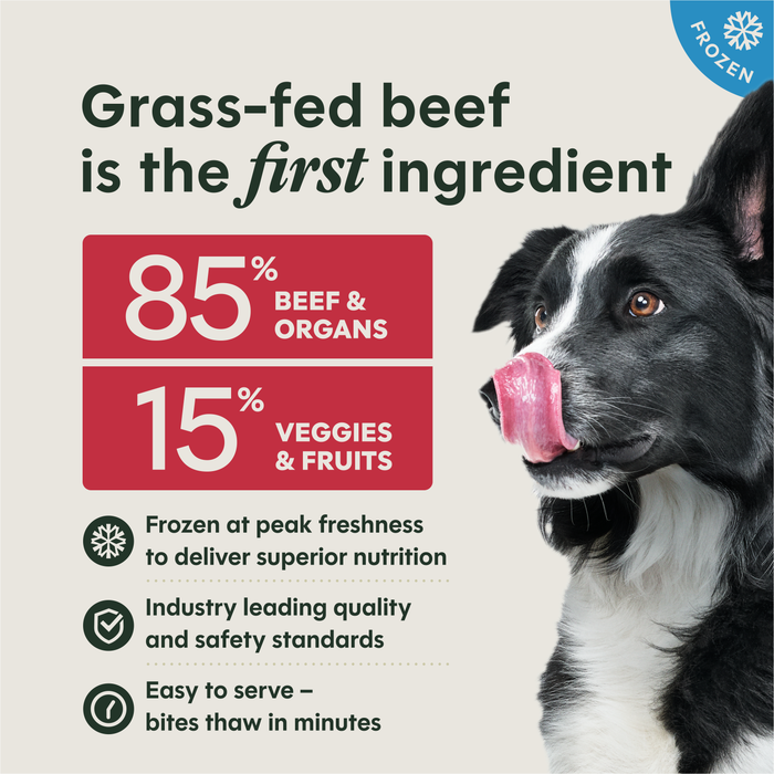Instinct FreshRaw Bites Grass-Fed Beef Recipe for Adult Dogs, 6lbs