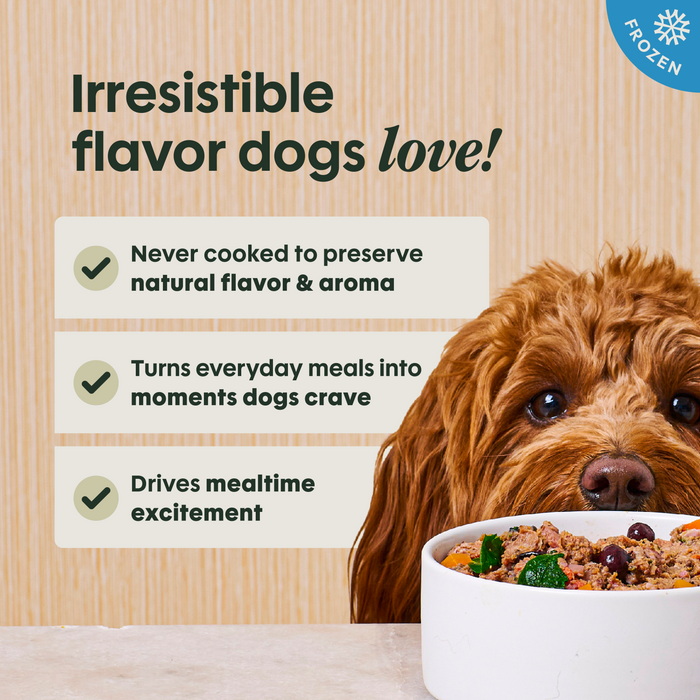 Instinct FreshRaw Meals Dog Food Recipe Sampler (Box of 6)