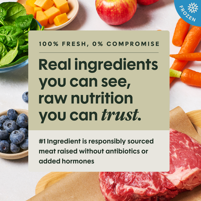 Instinct FreshRaw Meals Dog Food Recipe Sampler (Box of 6)