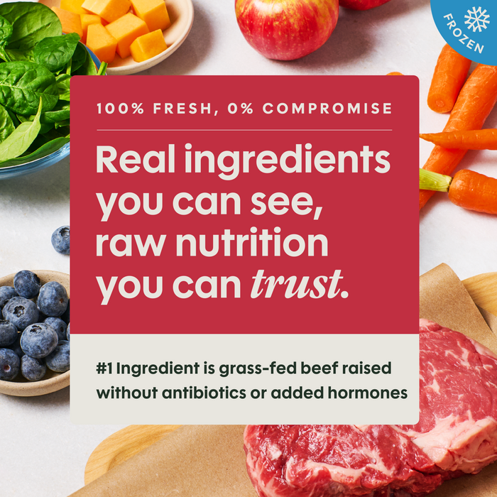 Instinct FreshRaw Meals Grass-Fed Beef Recipe Dog Food, 8oz