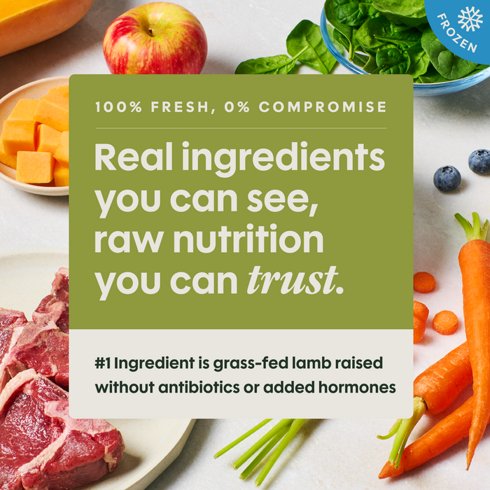Instinct FreshRaw Meals Grass-Fed Lamb Recipe Dog Food, 8oz