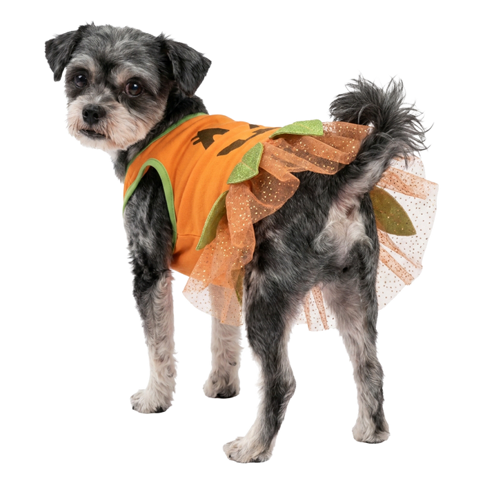 JACK O LANTERN DRESS