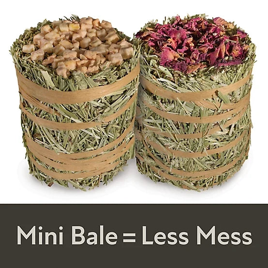 Kaytee Field+Forest Mini Hay Bales Apple and Rose, 7 oz., 2 pk.