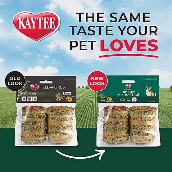 Kaytee Field+Forest Mini Hay Bales Carrot & Marigold Small Animal Treats, 7 oz. 2 pk.