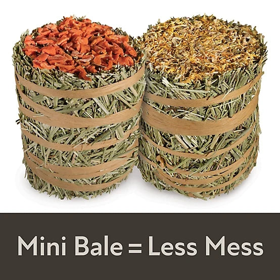 Kaytee Field+Forest Mini Hay Bales Carrot & Marigold Small Animal Treats, 7 oz. 2 pk.