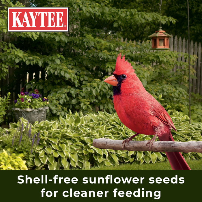 Kaytee No Mess Blend Bird Food 5 Pounds