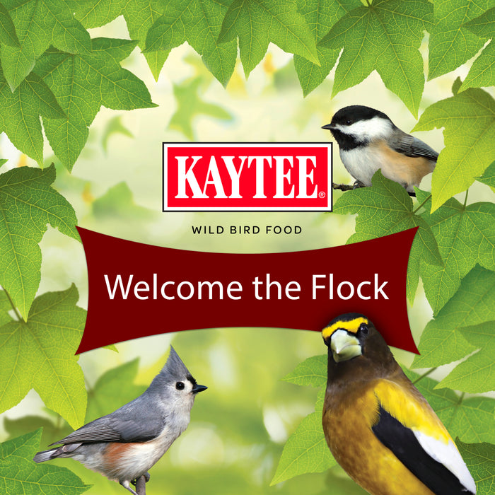 Kaytee Songbird Stand Up Bag 5 Pounds