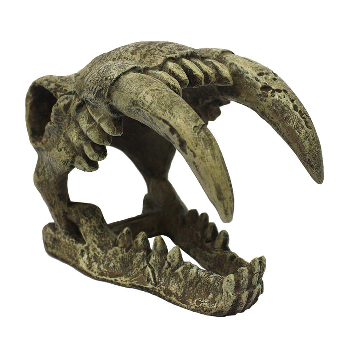 Komodo Saber Tooth