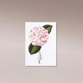 Laura Stoddart Card Camellia - Few and Far - Greeting Cards
