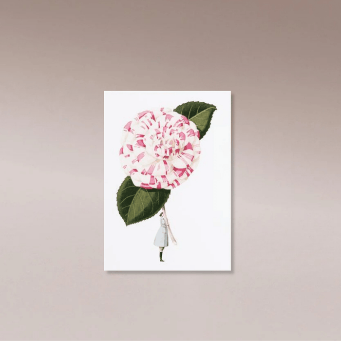 Laura Stoddart Card Camellia - Few and Far - Greeting Cards