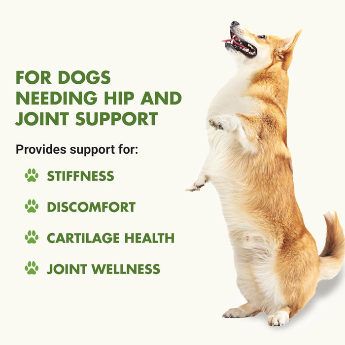 Liquid-Vet Hip and Joint Formula for Dogs, Pot Roast Flavor, 32 oz.