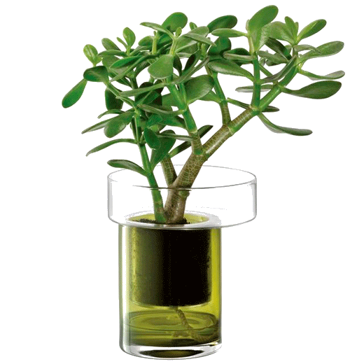 This Balcony Self Watering Planter H19cm Olive by LSA International is great for keeping plants on display.