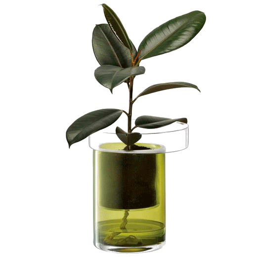 This Balcony Self Watering Planter H27cm Olive by LSA International is useful for watering plants especially if you cannot manually do it daily.