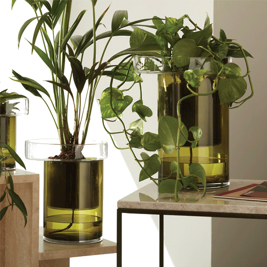 This LSA International Balcony Self Watering Planter H27cm comes in Olive Green with a clear top.