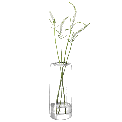 LSA International's Select Melt Tall Vase is perfect for foliage.