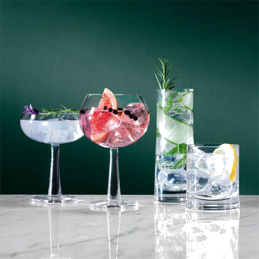 lsa signature gin highball set of 2 lifestyle