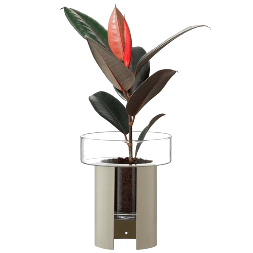 This Terrazza Concrete Grey Planter 22cm by LSA is great for growing plants indoors.