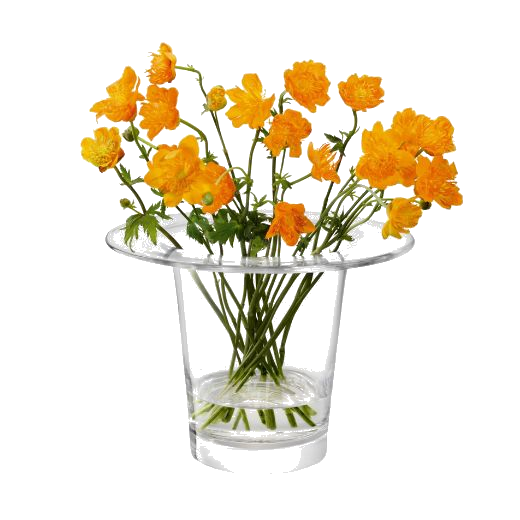 This Victoria Clear Glass Lantern Vase 19 cm by LSA is great for holding a small bunch of flowers.
