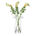 This Victoria Clear Glass Vase 36 cm by LSA looks great with a simple bunch of flowers etc.
