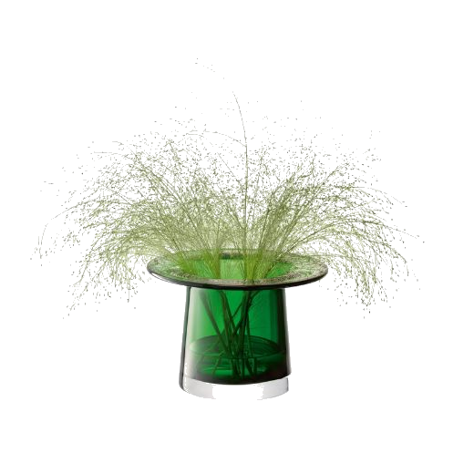This LSA Victoria Lantern Fern Green Glass Vase 13.5 cm can be used for small foliage or stems or as a lantern with a candle inside.