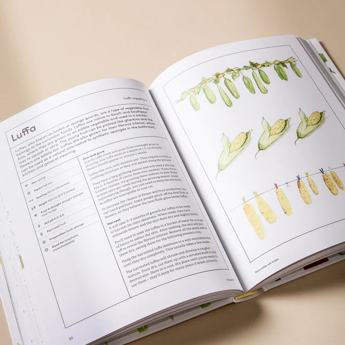 MEDICINAL GARDEN - Few and Far - Books