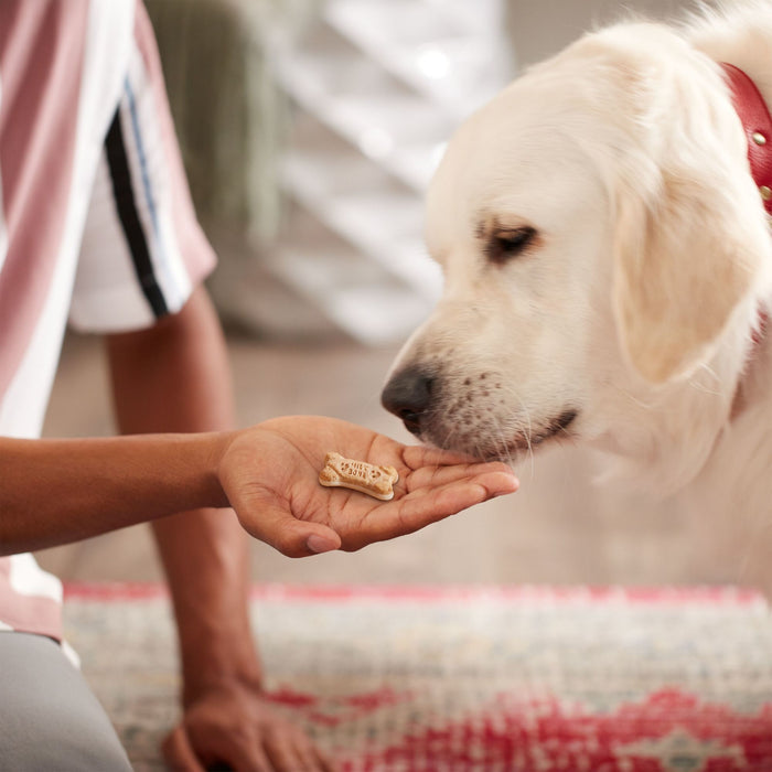 Milk-Bone Dipped Dog Biscuits Baked With Vanilla Yogurt
