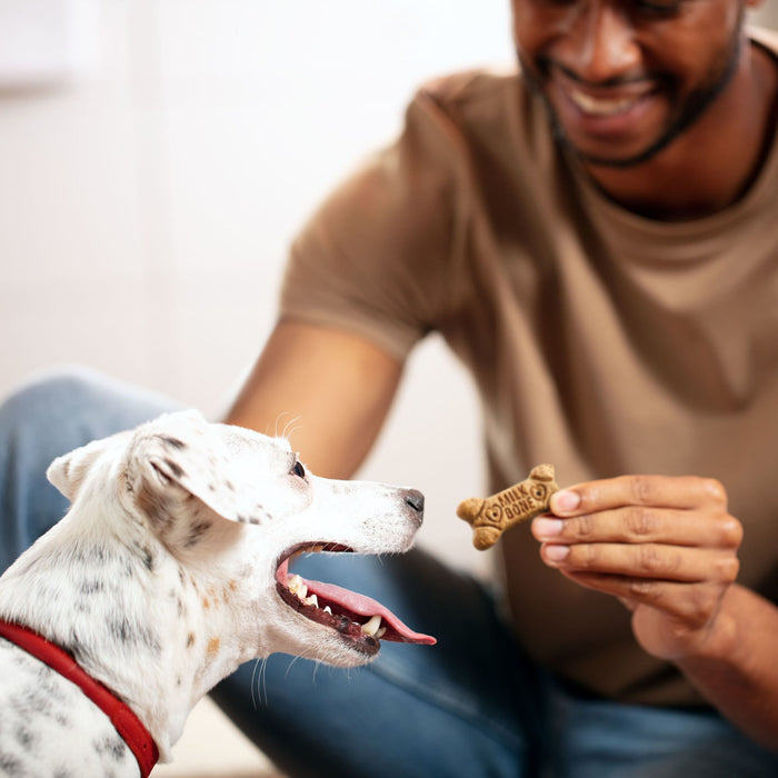 Milk-Bone Flavor Snacks Dog Biscuits, Small, Treats For Dogs Of All Sizes