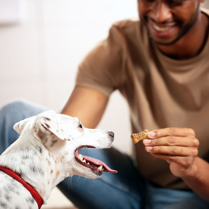 Milk-Bone Flavor Snacks Mini Dog Biscuits, Flavored Crunchy Dog Treats