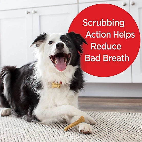 Milk-Bone Fresh Breath Daily Dental Brushing Chews for Small & Medium Dogs