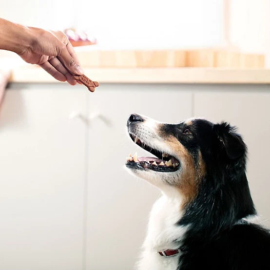 Milk-Bone Soft and Chewy Chicken Flavor Dog Treats, 25 oz.