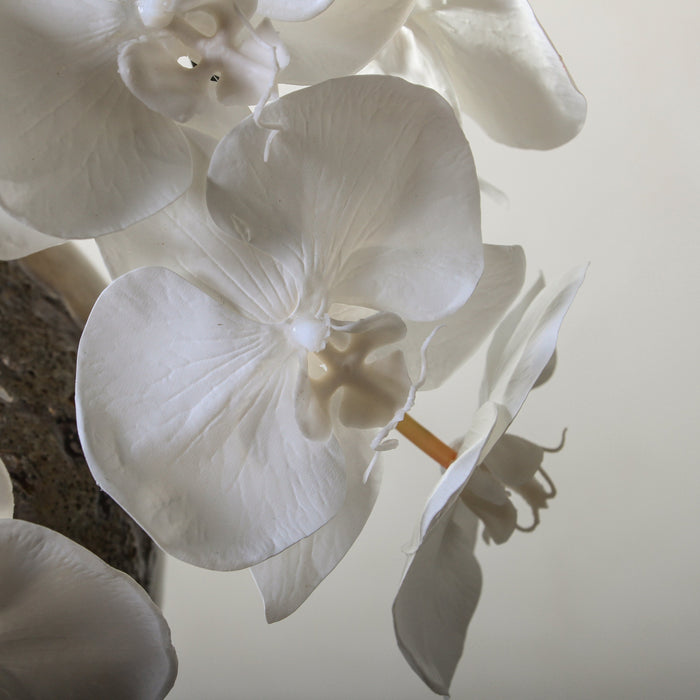 Modern Sculpture - Few and Far - Flowers & Foliage