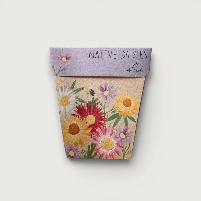 Native Daisies Gift of Seeds