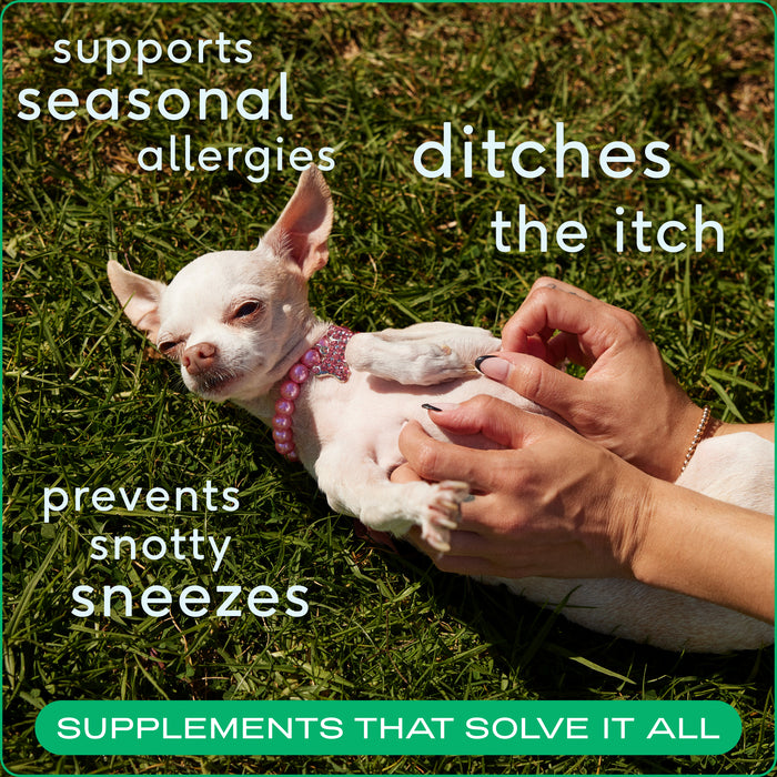 Native Pet Allergy & Immune Chews Allergy Relief Supplement for Dogs, 60 count