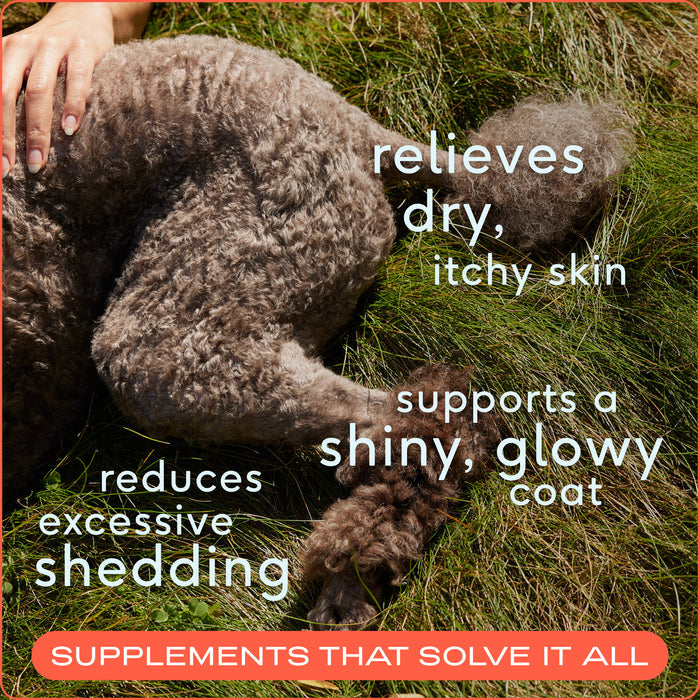 Native Pet Omega-3 Fish Oil & Alaskan Salmon Oil Skin & Coat Health Supplement for Dogs, 16 oz