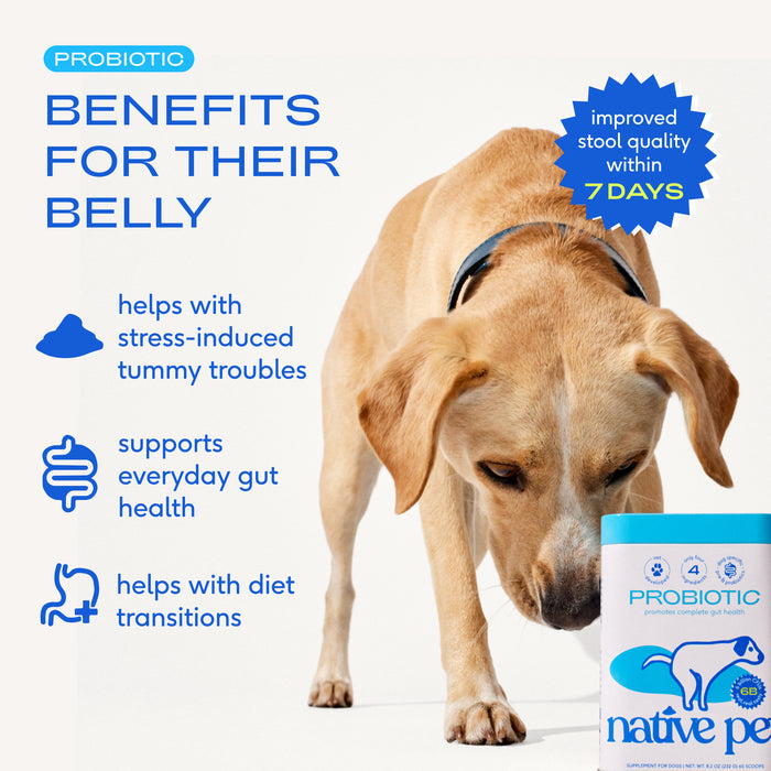 Native Pet Probiotic 8.2oz
