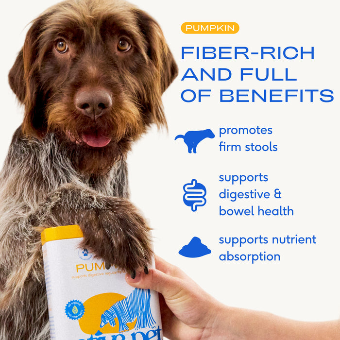Native Pet Pumpkin 8 oz