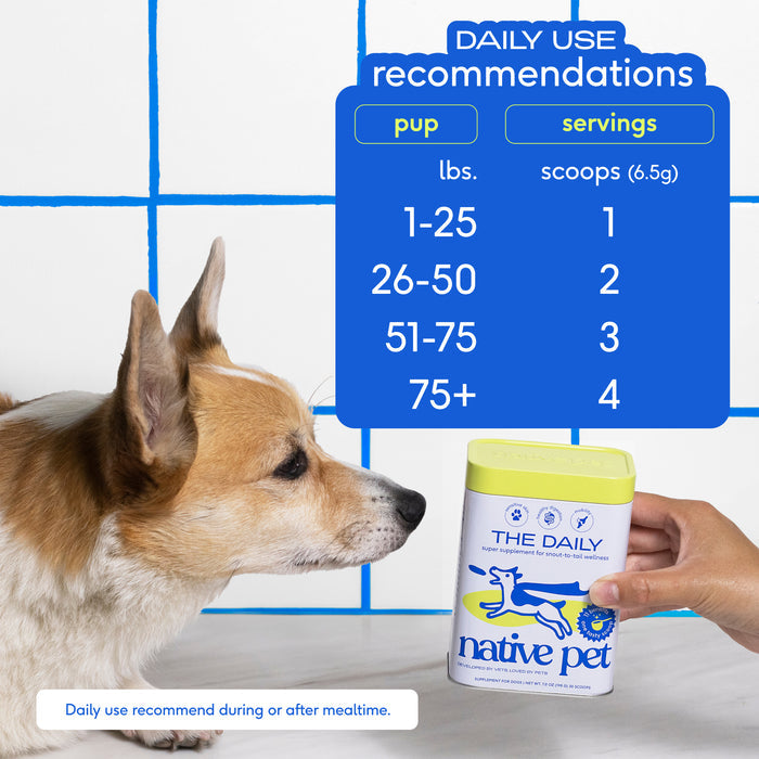 Native Pet The Daily Powder 11-in-1 Supplement for Dogs, 7 oz
